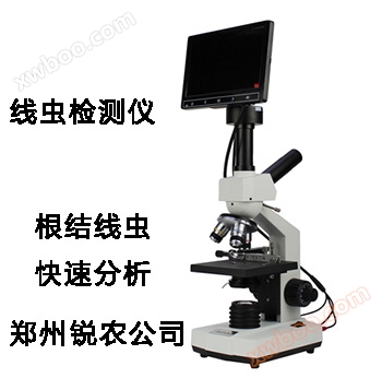 Come estrarre velocemente osservare radici del suolo Conjunctivi radici Conjunctivi? video